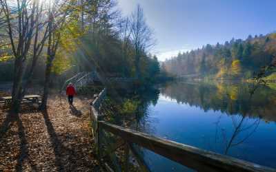 Dipsizgöl Çamlıpınar Göleti